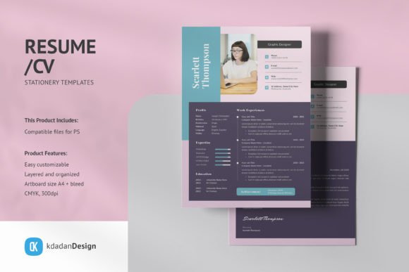 Elevate Your Job Search: Resume/CV PSD Design Templates Vol 183